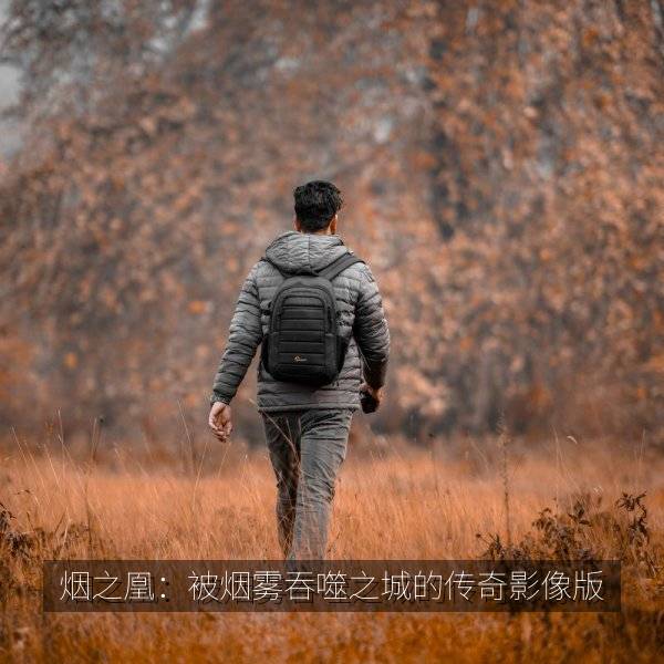 烟之凰：被烟雾吞噬之城的传奇影像版 海报