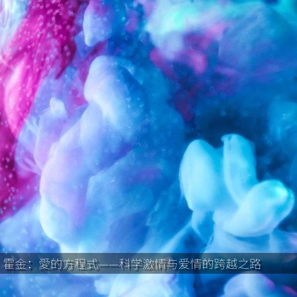 霍金：愛的方程式——科学激情与爱情的跨越之路 海报
