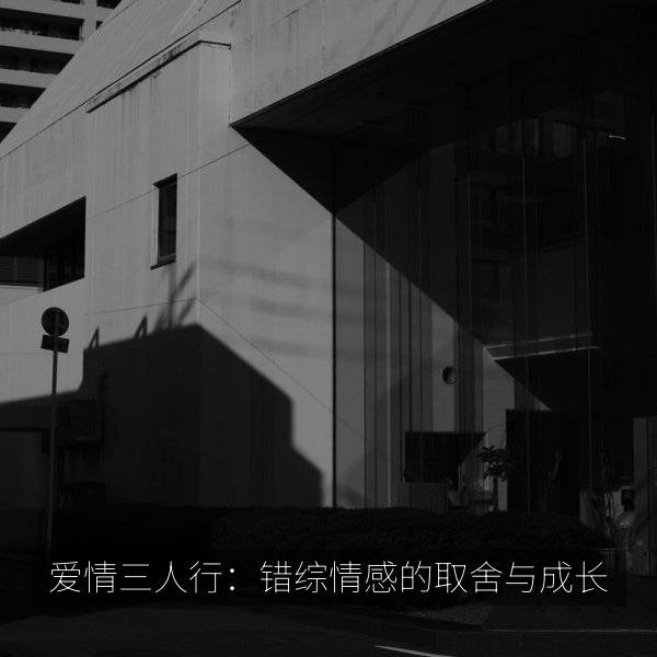 爱情三人行：错综情感的取舍与成长 海报