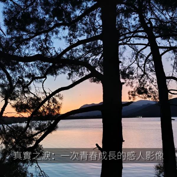 真實之淚：一次青春成長的感人影像 海报