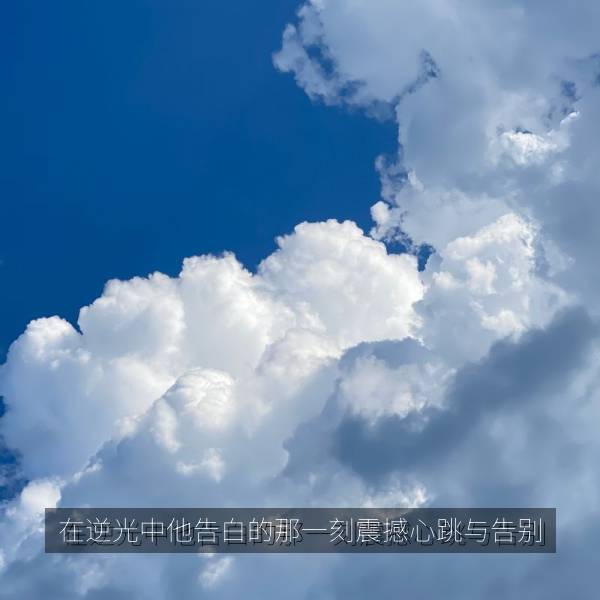 在逆光中他告白的那一刻震撼心跳与告别 海报