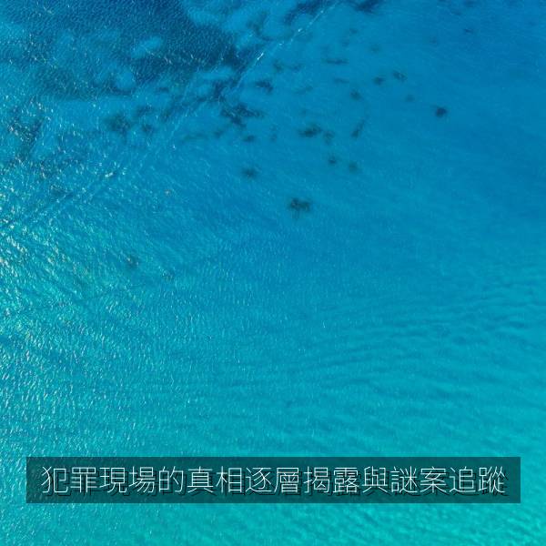 犯罪現場的真相逐層揭露與謎案追蹤 海报