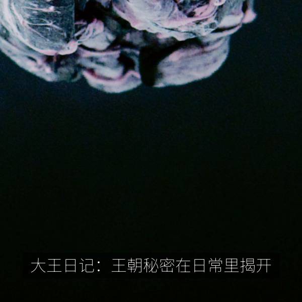 大王日记：王朝秘密在日常里揭开 海报