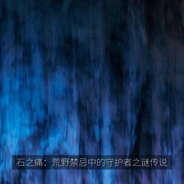 石之痛：荒野禁忌中的守护者之谜传说 海报